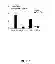 Fig. 24 - METHODS AND  COMPOSITIONS FOR TREATING INFLAMMATORY CONDITIONS