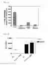 Fig. 02 - Methods for using extracellular adenosine inhibitors and adenosine receptor inhibitors to enhance immune response and inflammation