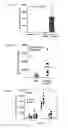 Fig. 05 - Methods for using extracellular adenosine inhibitors and adenosine receptor inhibitors to enhance immune response and inflammation