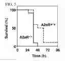 Fig. 06 - Methods for using extracellular adenosine inhibitors and adenosine receptor inhibitors to enhance immune response and inflammation