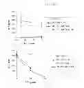 Fig. 07 - LIPOTHEICHOIC ACID FROM LACTIC ACID BACTERIA AND ITS USE TO MODULATE IMMUNE RESPONSES MEDIATED BY GRAM-NEGATIVE BACTERIA, POTENTIAL PATHOGENIC GRAM-POSITIVE BACTERIA