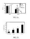 Fig. 03 - GENETIC ADJUVANTS FOR IMMUNOTHERAPY