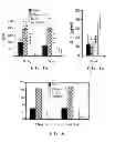 Fig. 04 - GENETIC ADJUVANTS FOR IMMUNOTHERAPY