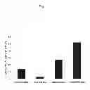 Fig. 05 - IMMUNOSTIMULATORY NUCLEIC ACID PACKAGED PARTICLES FOR THE TREATMENT OF HYPERSENSITIVITY