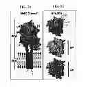 Fig. 10 - Compositions and methods using recombinant MHC molecules for the treatment of stroke