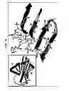 Fig. 15 - Compositions and methods using recombinant MHC molecules for the treatment of stroke