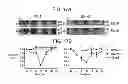 Fig. 17 - Compositions and methods using recombinant MHC molecules for the treatment of stroke