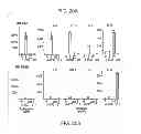 Fig. 20 - Compositions and methods using recombinant MHC molecules for the treatment of stroke