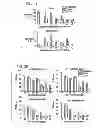 Fig. 23 - Compositions and methods using recombinant MHC molecules for the treatment of stroke
