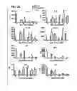 Fig. 24 - Compositions and methods using recombinant MHC molecules for the treatment of stroke