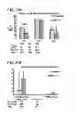 Fig. 31 - Compositions and methods using recombinant MHC molecules for the treatment of stroke