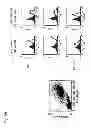 Fig. 07 - PHARMACEUTICAL COMPOSITION FOR TREATING OR PREVENTING CANCER BY INDUCING DENDRITIC CELL-LIKE DIFFERENTIATION FROM MONOCYTES TO IMPROVE ANTICANCER IMMUNE ACTIVITY