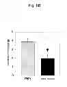Fig. 11 - PHARMACEUTICAL COMPOSITION FOR TREATING OR PREVENTING CANCER BY INDUCING DENDRITIC CELL-LIKE DIFFERENTIATION FROM MONOCYTES TO IMPROVE ANTICANCER IMMUNE ACTIVITY