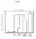 Fig. 14 - PHARMACEUTICAL COMPOSITION FOR TREATING OR PREVENTING CANCER BY INDUCING DENDRITIC CELL-LIKE DIFFERENTIATION FROM MONOCYTES TO IMPROVE ANTICANCER IMMUNE ACTIVITY