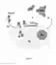 Fig. 08 - Virus traps