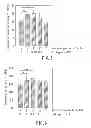 Fig. 05 - HARD TISSUE REGENERATION MATERIAL AND METHOD FOR MANUFACTURING THE SAME