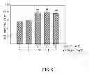 Fig. 07 - HARD TISSUE REGENERATION MATERIAL AND METHOD FOR MANUFACTURING THE SAME