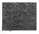 Fig. 01 - Multicomponent glasses for use in personal care products