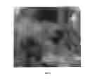 Fig. 02 - Multicomponent glasses for use in personal care products