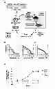 Fig. 01 - Nucleic acid aptamers