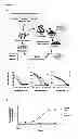 Fig. 02 - Nucleic acid aptamers