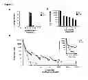 Fig. 04 - Nucleic acid aptamers
