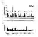 Fig. 06 - Nucleic acid aptamers