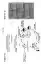 Fig. 12 - Nucleic acid aptamers
