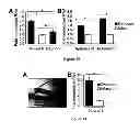Fig. 60 - Nucleic acid aptamers