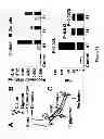 Fig. 61 - Nucleic acid aptamers