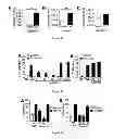 Fig. 62 - Nucleic acid aptamers