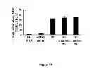 Fig. 63 - Nucleic acid aptamers