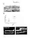 Fig. 05 - Methods for Improving Fracture Healing and Bone Formation