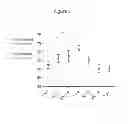 Fig. 06 - Methods for Improving Fracture Healing and Bone Formation