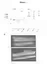 Fig. 07 - Methods for Improving Fracture Healing and Bone Formation