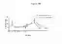 Fig. 12 - Methods for Improving Fracture Healing and Bone Formation