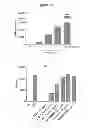 Fig. 13 - Methods for Improving Fracture Healing and Bone Formation