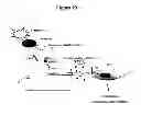 Fig. 22 - Methods for Improving Fracture Healing and Bone Formation