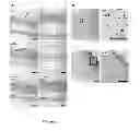 Fig. 10 - GRANZYME B INHIBITOR COMPOSITIONS, METHODS AND USES FOR PROMOTING WOUND HEALING