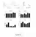 Fig. 11 - GRANZYME B INHIBITOR COMPOSITIONS, METHODS AND USES FOR PROMOTING WOUND HEALING