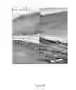 Fig. 21 - GRANZYME B INHIBITOR COMPOSITIONS, METHODS AND USES FOR PROMOTING WOUND HEALING
