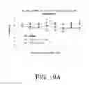 Fig. 10 - CONJUGATE ANGIOSTATION OR ITS FRAGMENT, THE METHOD OF PRODUCING THE CONJUGATE AND USE THEREOF