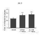 Fig. 11 - COMPOSITIONS COMPRISING EXTRACTS OR FRACTIONS DERIVED FROM ANNONA SQUAMOSA FOR THE PREVENTION, TREATMENT OR CONTROL OF INFLAMMATORY AND METABOLIC DISORDERS