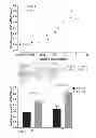 Fig. 04 - Viral inactivated platelet extract, use and preparation thereof