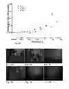 Fig. 06 - Viral inactivated platelet extract, use and preparation thereof