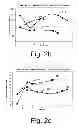 Fig. 04 - Suspension of nanoparticles