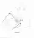 Fig. 08 - Drinking Vessels