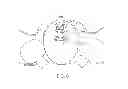 Fig. 09 - SYSTEMS AND METHODS FOR PROCESSING EGGS
