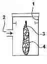 Fig. 01 - METHOD FOR PRESERVING MUSHROOMS