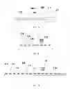 Fig. 02 - METHOD OF CHANGING THE OPTICAL PROPERTIES OF HIGH RESOLUTION CONDUCTING PATTERNS